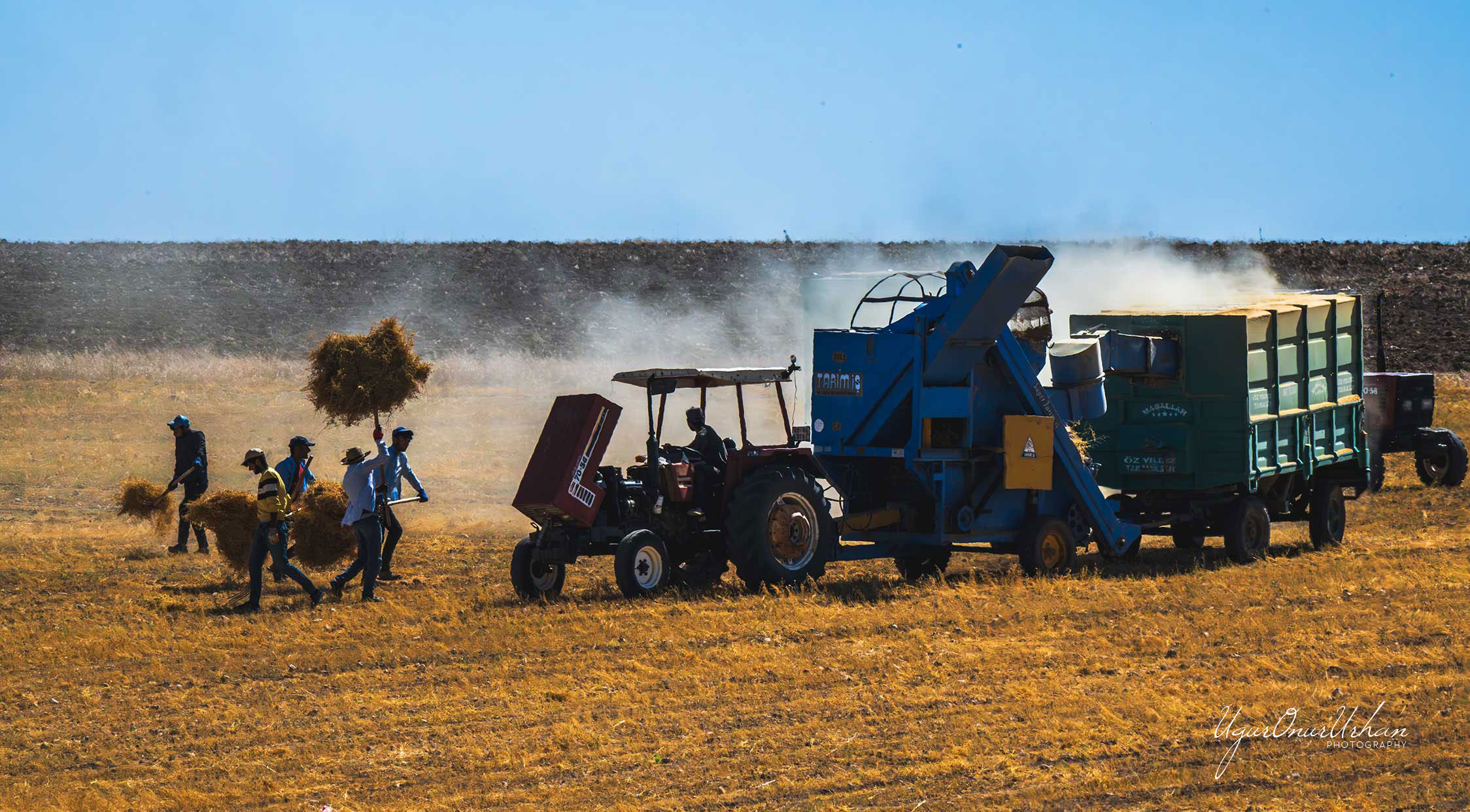 Farmers' harvest time in the Konya Plain